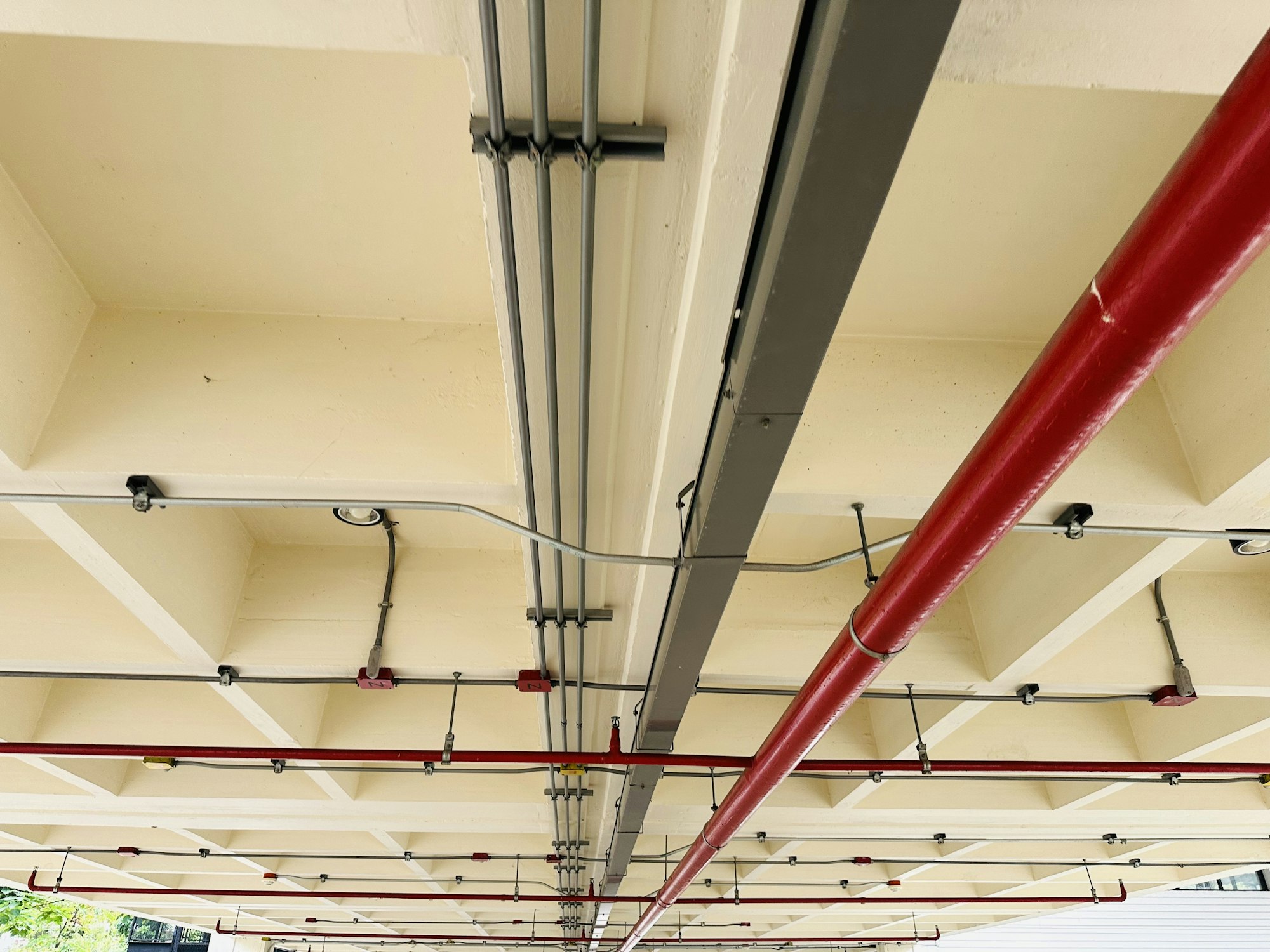 Fire sprinkler piping across a ceiling